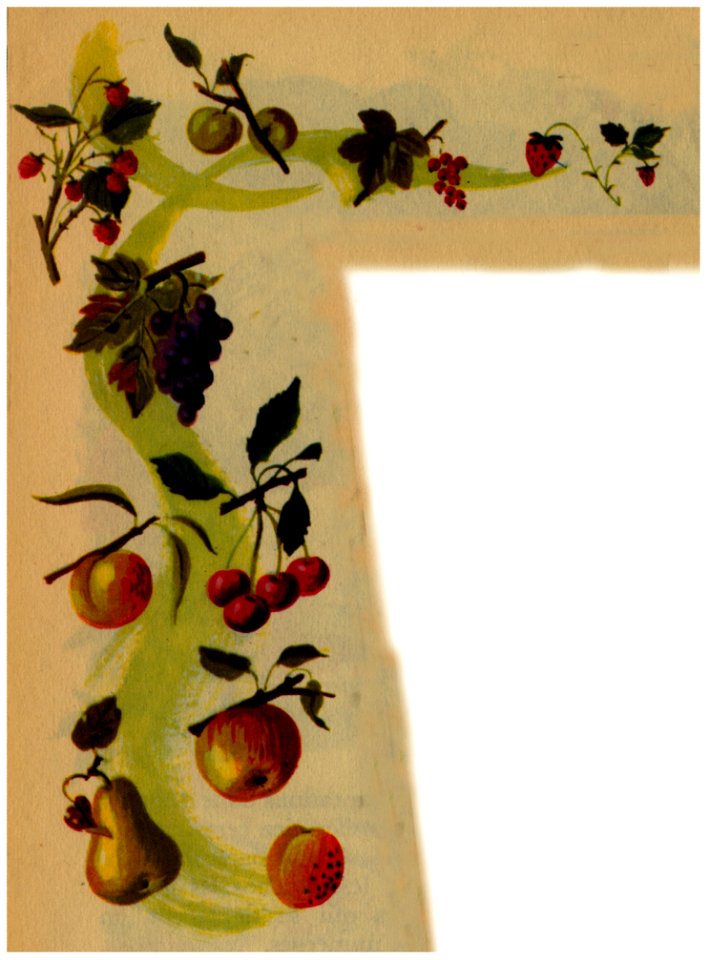 Fruits-frise