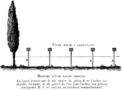 Plant Rectangle Font Slope