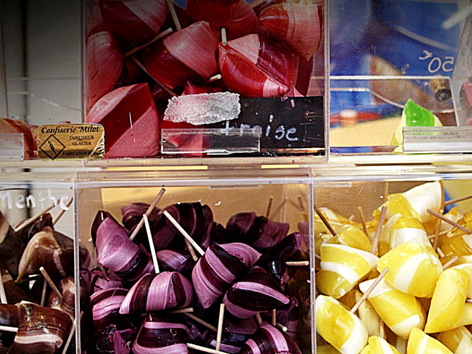 Petal Tints And Shades Magenta Sweetness