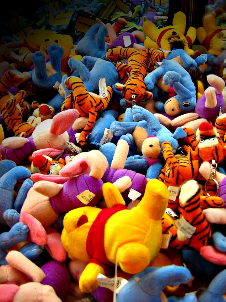 Photograph Orange Textile Organism