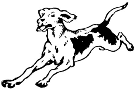 Chien-010