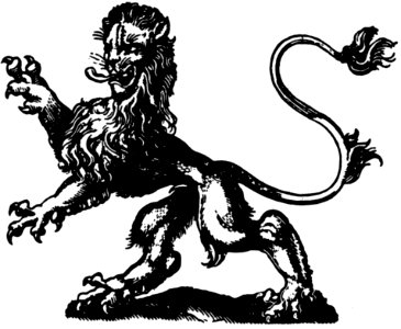 Lion-004