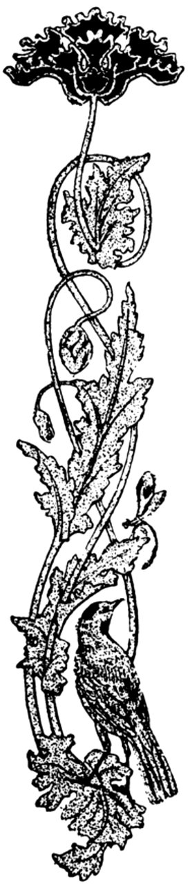 Ornement-111