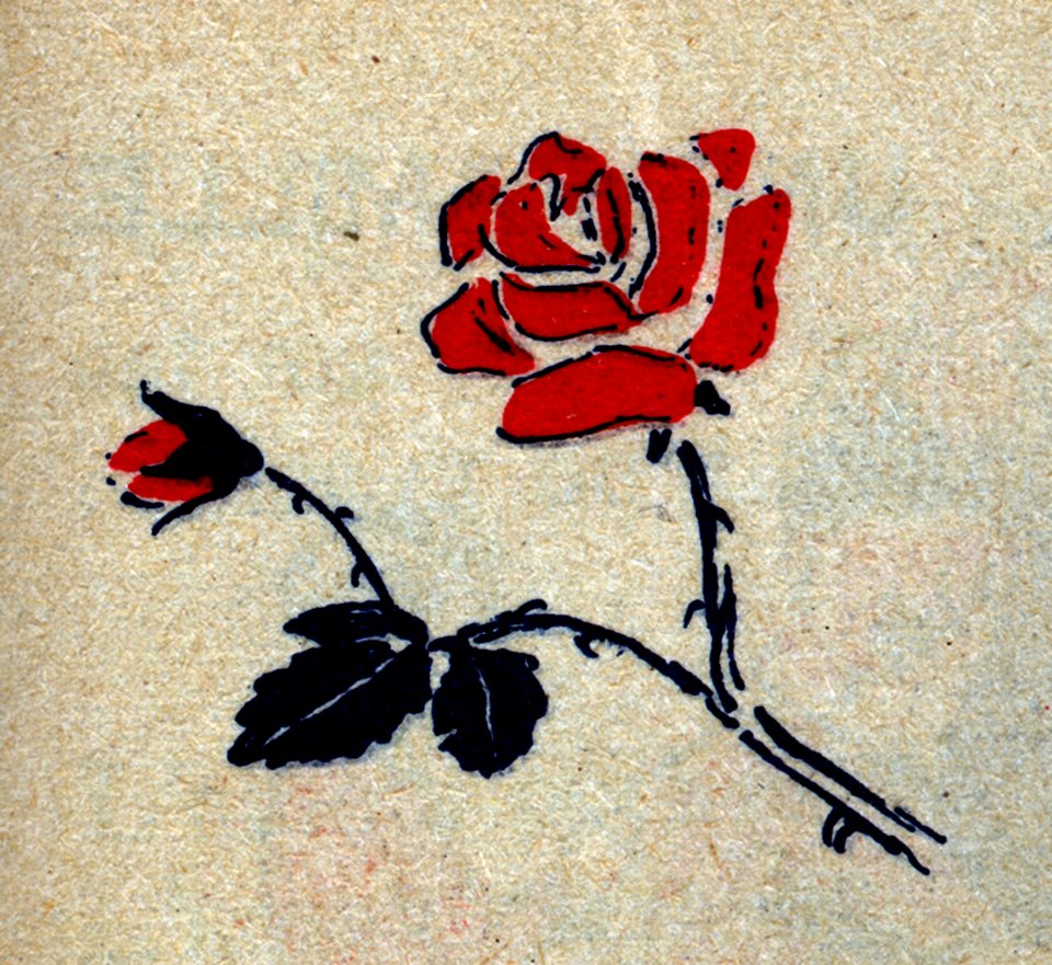 Fleur-5