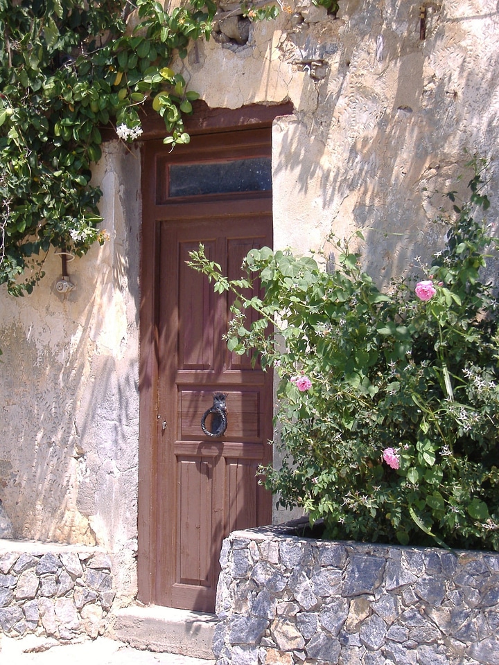 Wood flower vine stone