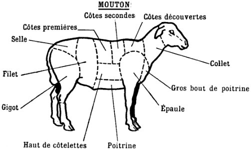 Viande-mouton