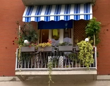 71 GIARDINI DI CITTA (di Arianna Palladino)