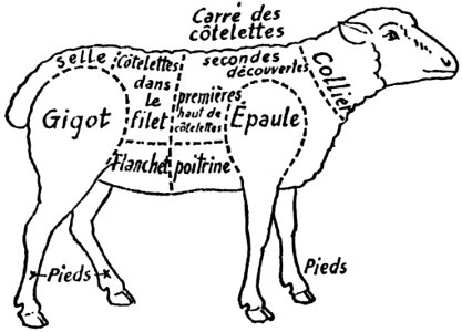Mouton-001