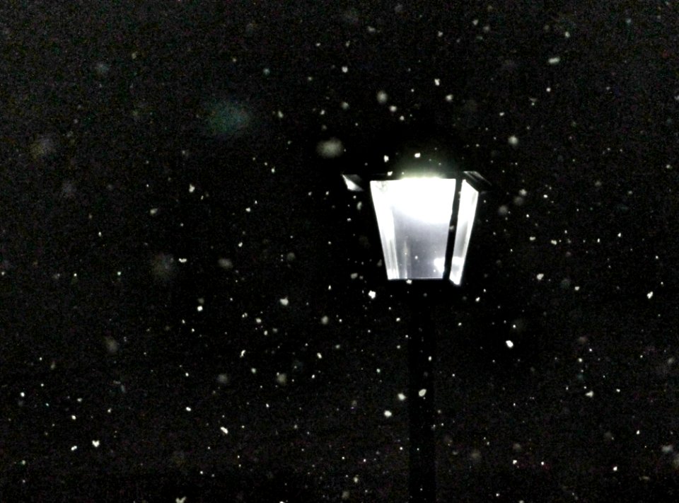Snowy Morning Lamppost