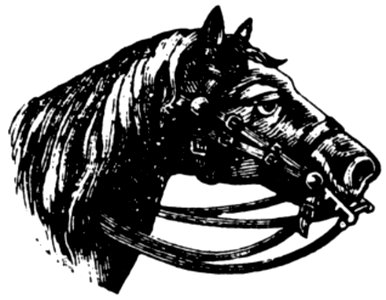 Cheval-063