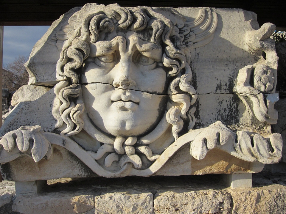 Didyma alicamurcu medusa