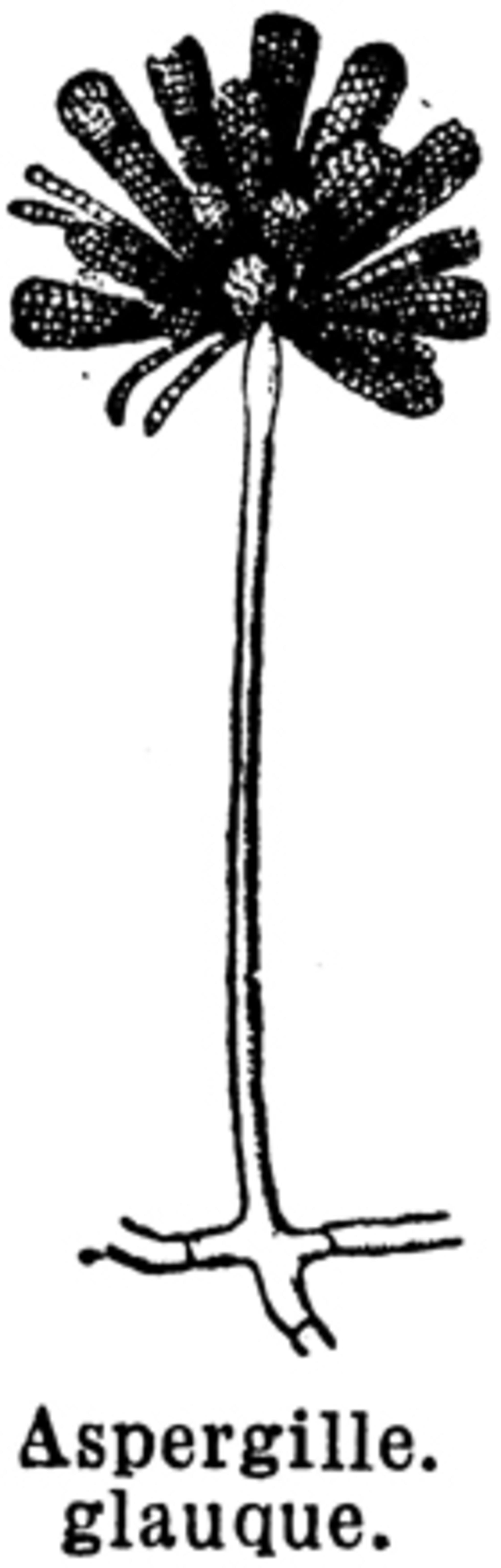 Human Body Sleeve Eyelash Twig