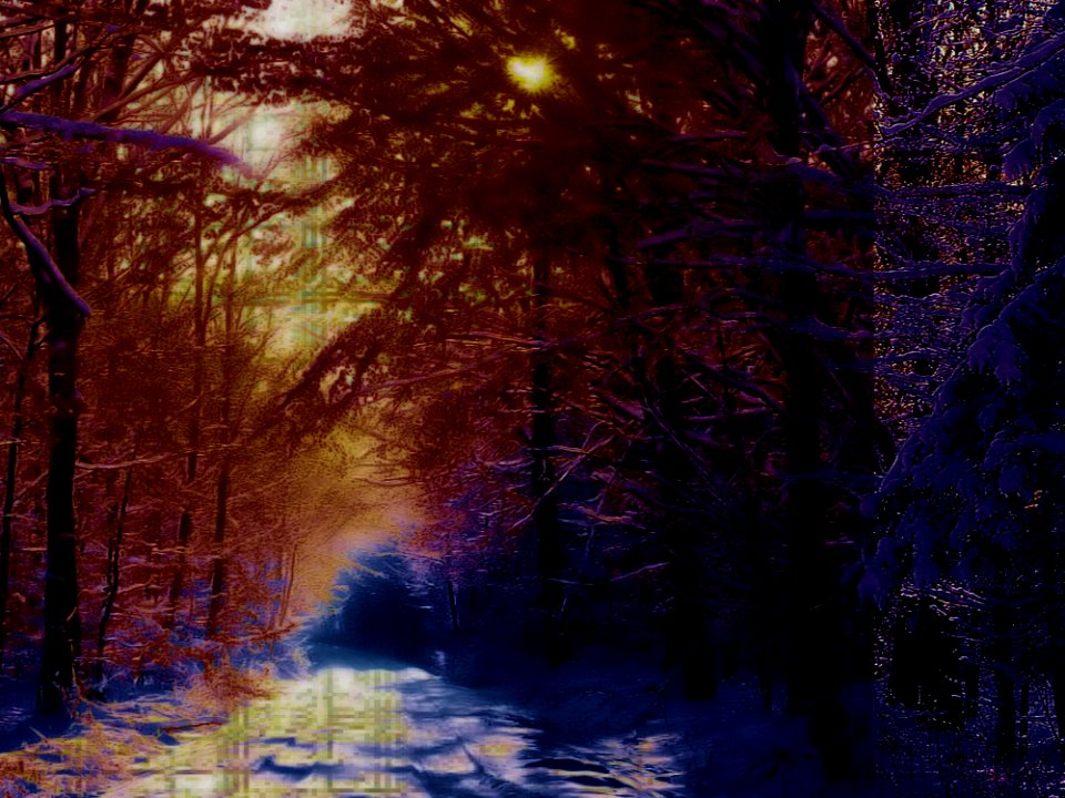Winter Background 3