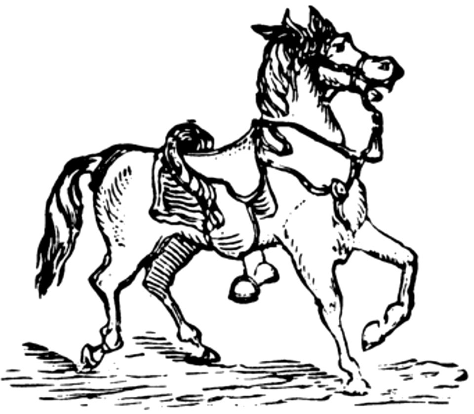Cheval-013