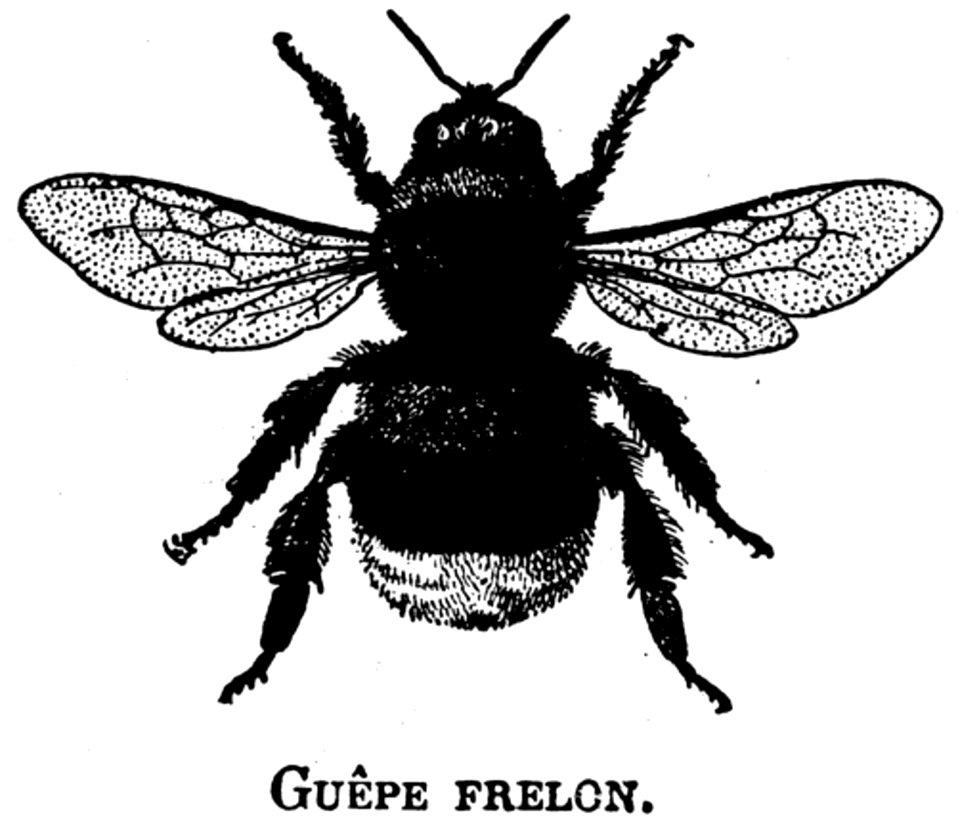 Frelon-OA