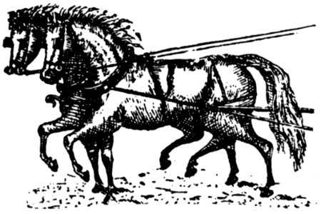 Cheval-024