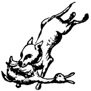 Chien-012