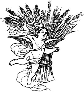 Cherubin-003