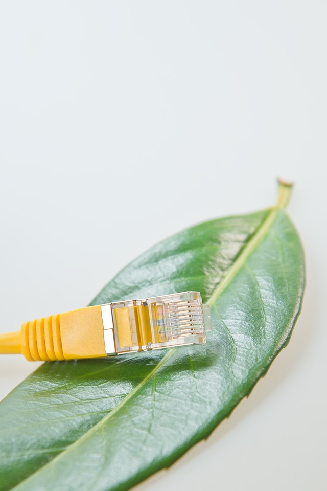 Patch cable network cable