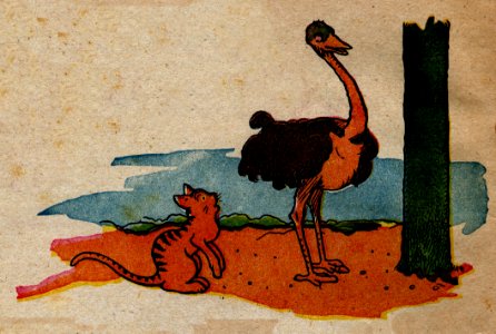 Contes Du Pelican Rouge-2