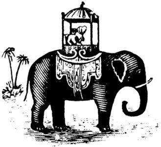 Elephant-014