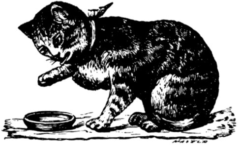 Chat-010