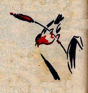 Oiseau-4