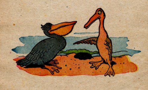 Contes Du Pelican Rouge-1
