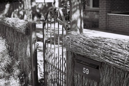 Thatch Fence And Gate