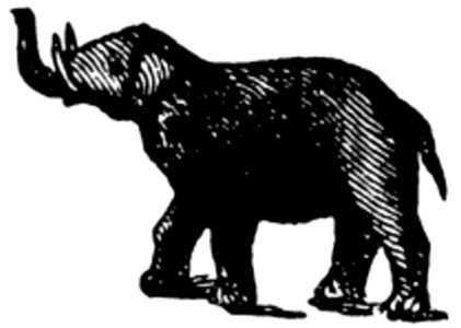 Elephant-010