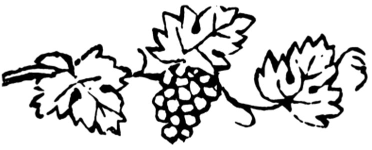 Raisin-007