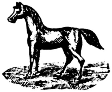 Cheval-069