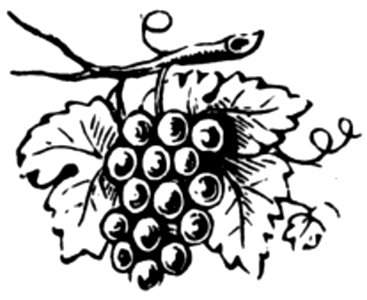 Raisin-006