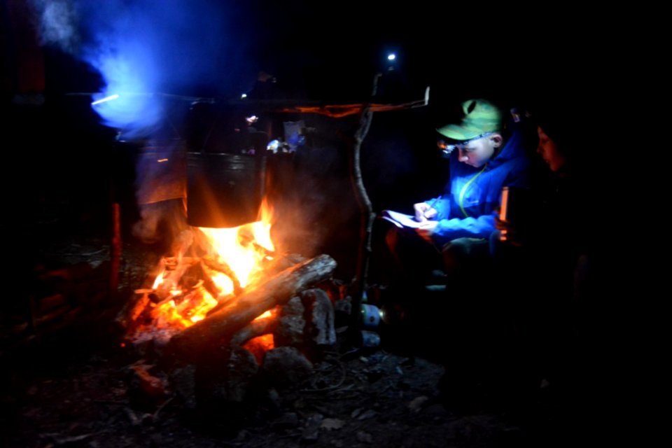 Fire Bonfire Campfire Heat