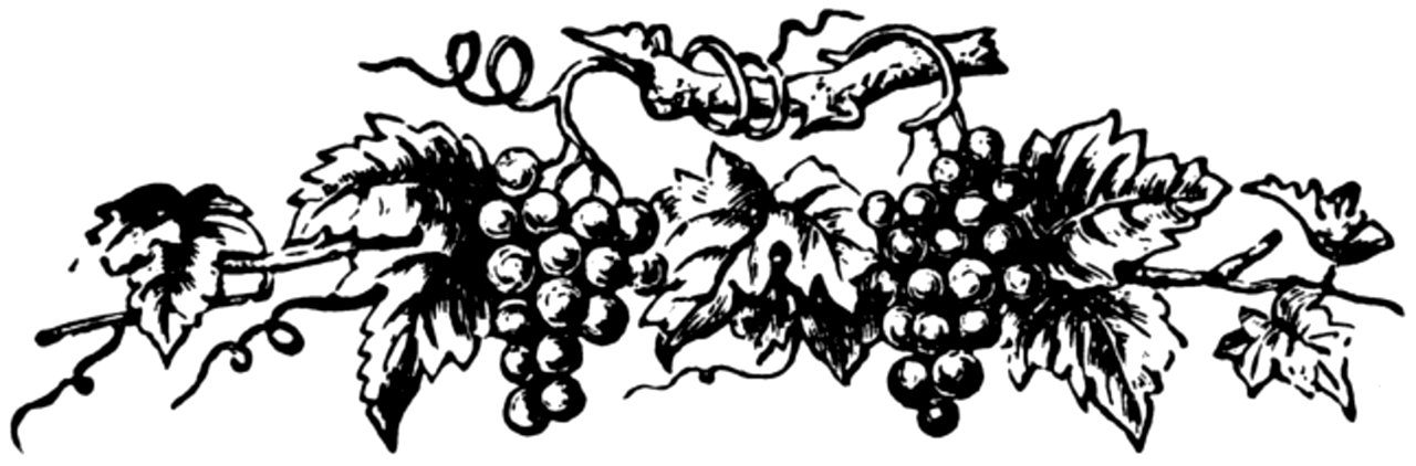 Raisin-005