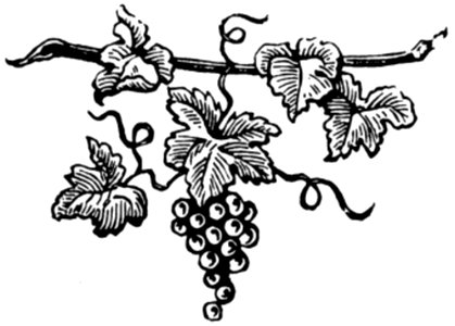 Raisin-002