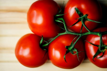Red Tomatoes On Vine photo