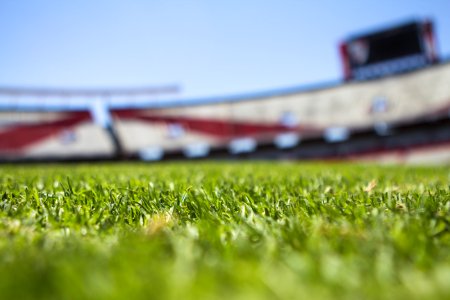 Green Grass Across Beige Red Open Sports Stadium During Daytime photo
