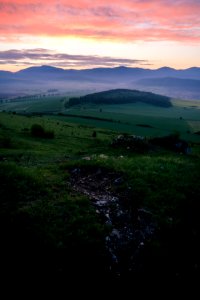 Green Meadows At Sunset