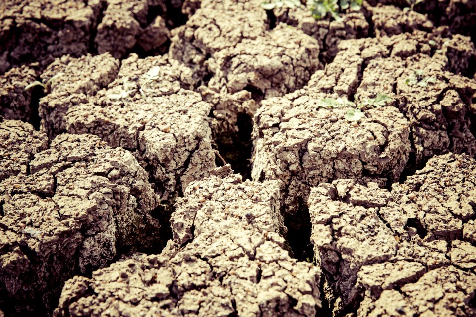 Gray Dry Soil In Macro Shot Photography photo