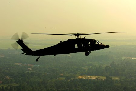 Green Leaved Trees Under Black Helicopter