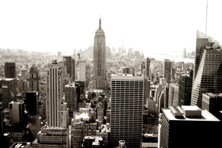 White High Rise Building