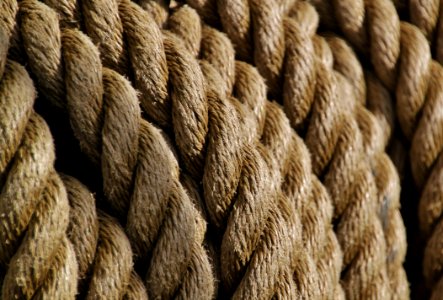 Brown Rope photo