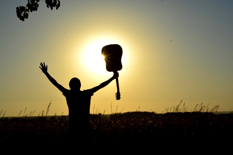 Silhouette Of Man Holding Guitar On Plant Fields At Daytime