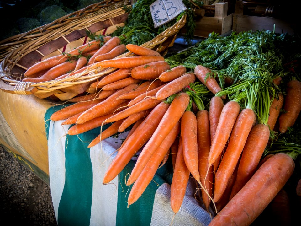 Bunches Of Fresh Carrots