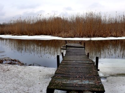 Black Wooden Dock On Riverside