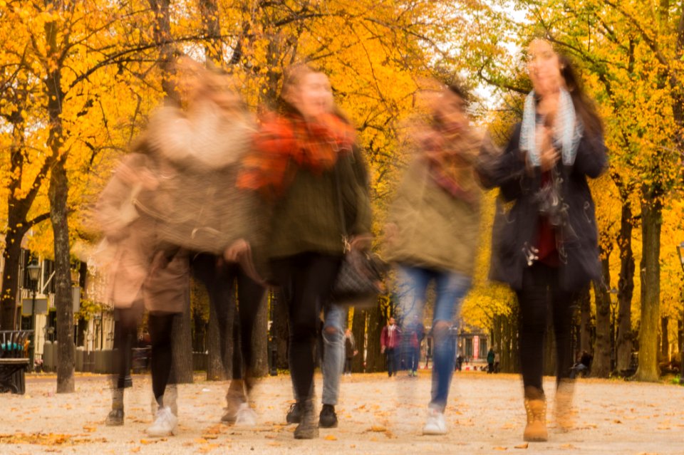 Group Of People Walking Under The Orange Tree