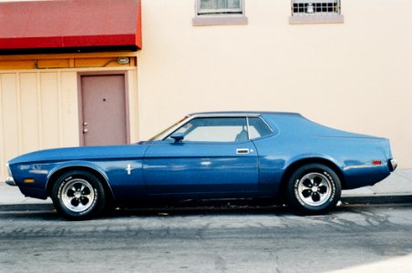 Blue Mustang