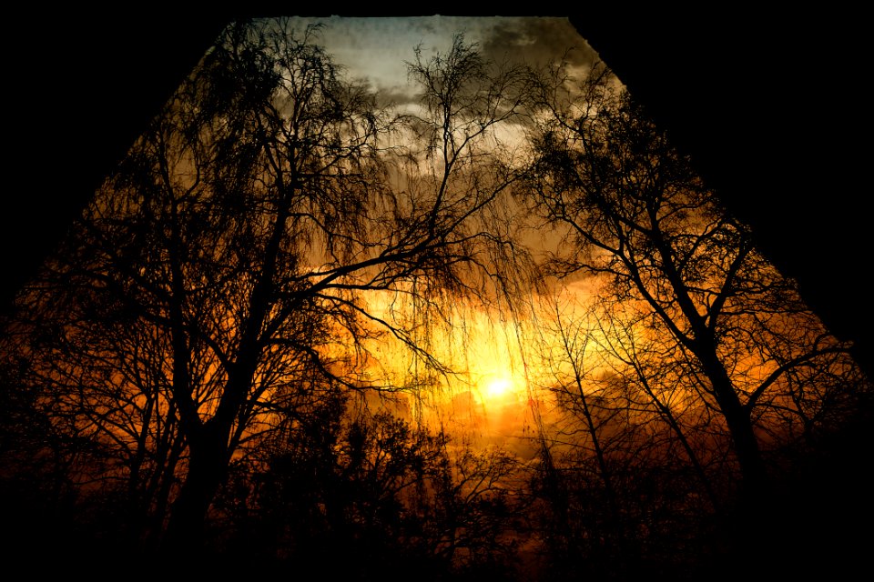 Silhouette Of Trees At Sunset