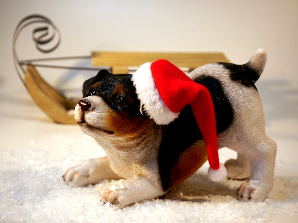 Statue Of Puppy In Stocking Cap